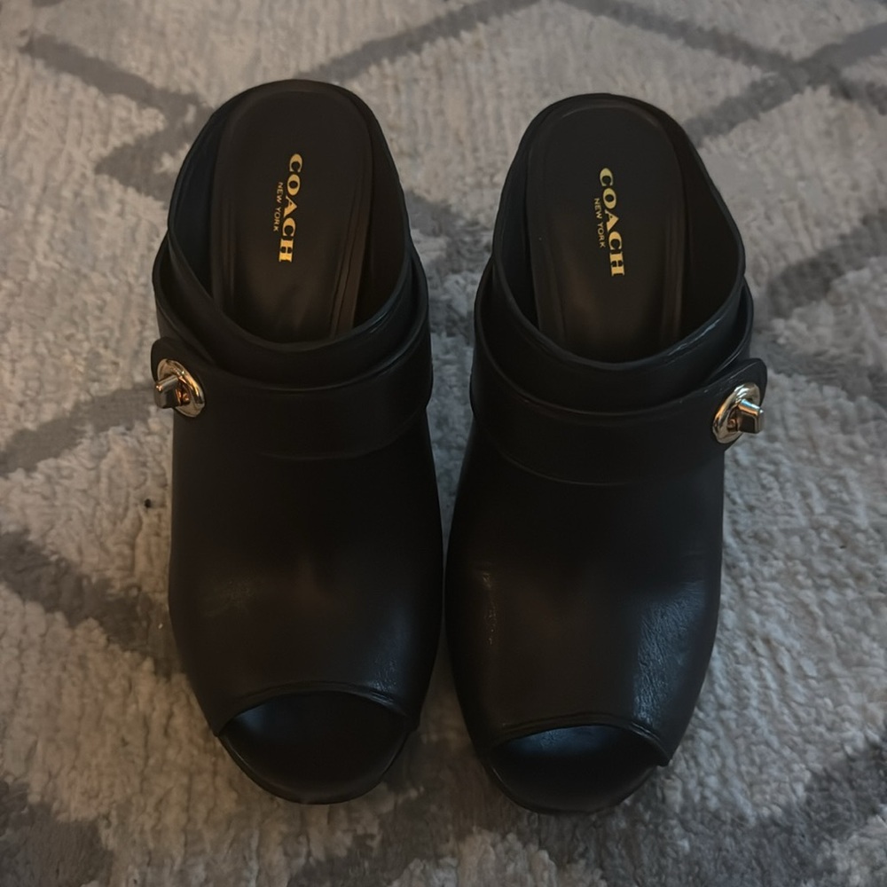 Coach Orchid Semi Matte Calf Heels color chestnut